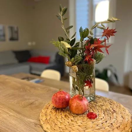 La Filanda Apartmán Castelvetro di Modena