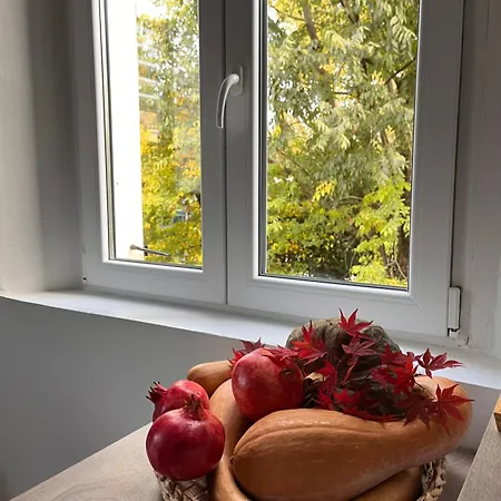 La Filanda Daire Castelvetro di Modena