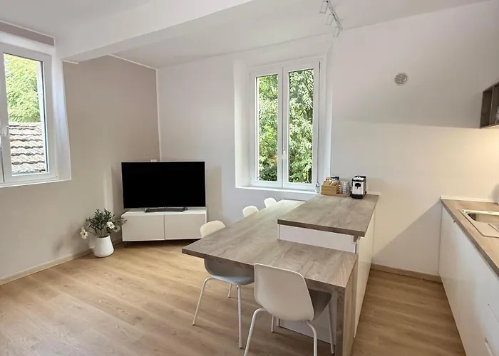 La Filanda Apartment Castelvetro di Modena